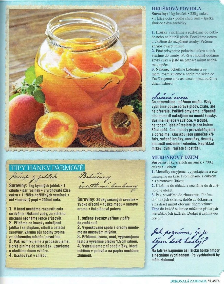Vlasta 211